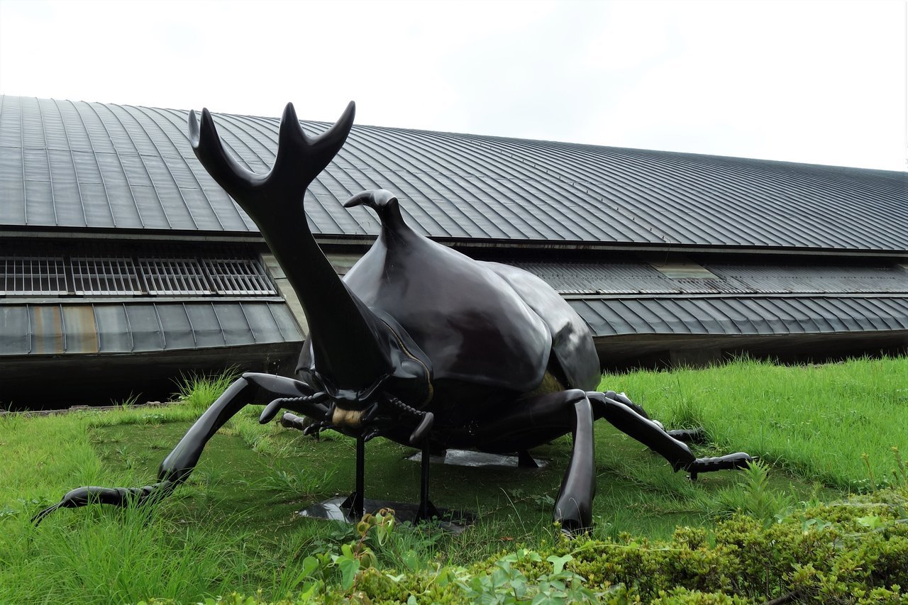 🏛️ 군마 현립 자연사박물관 (군마켄리츠시젠시하쿠부츠칸) 이미지 8